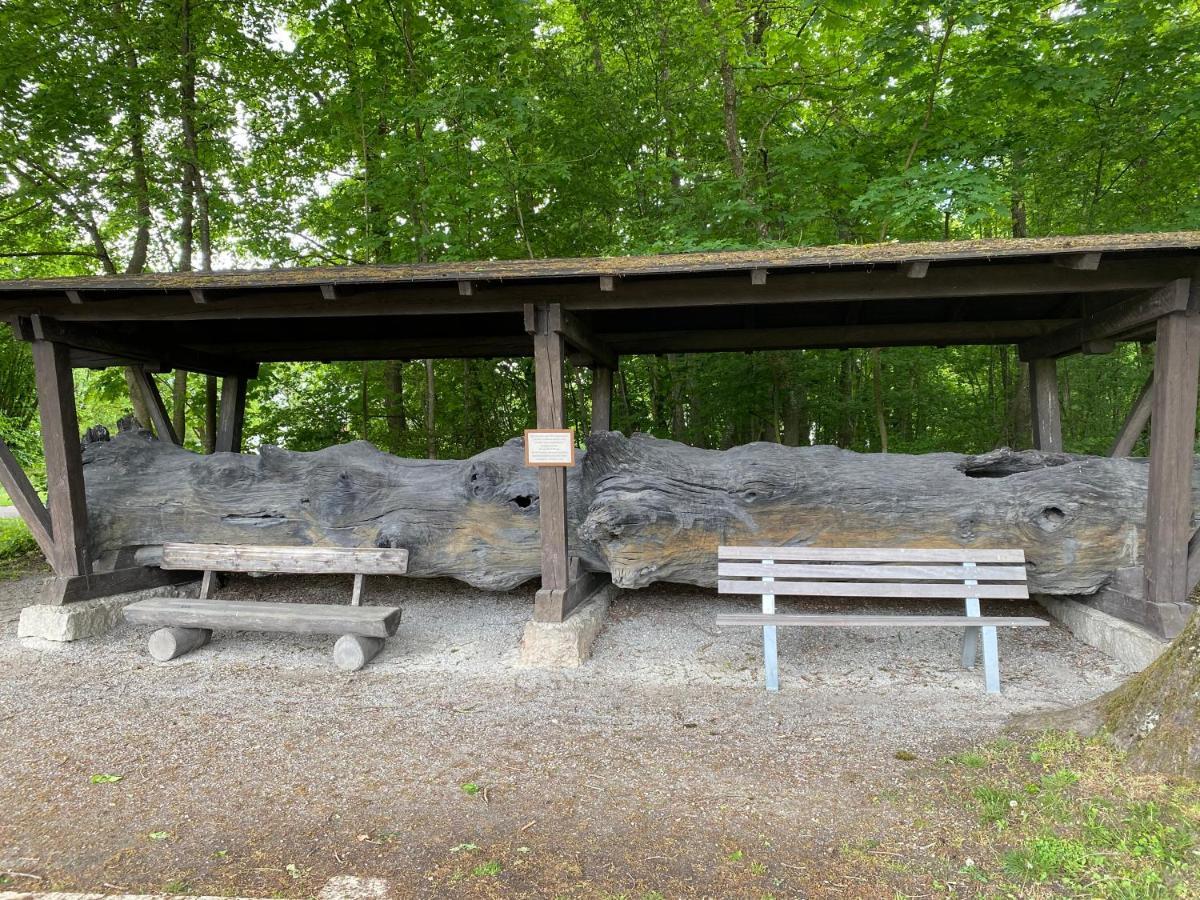 Appartementhof Stadler Pocking  Bagian luar foto