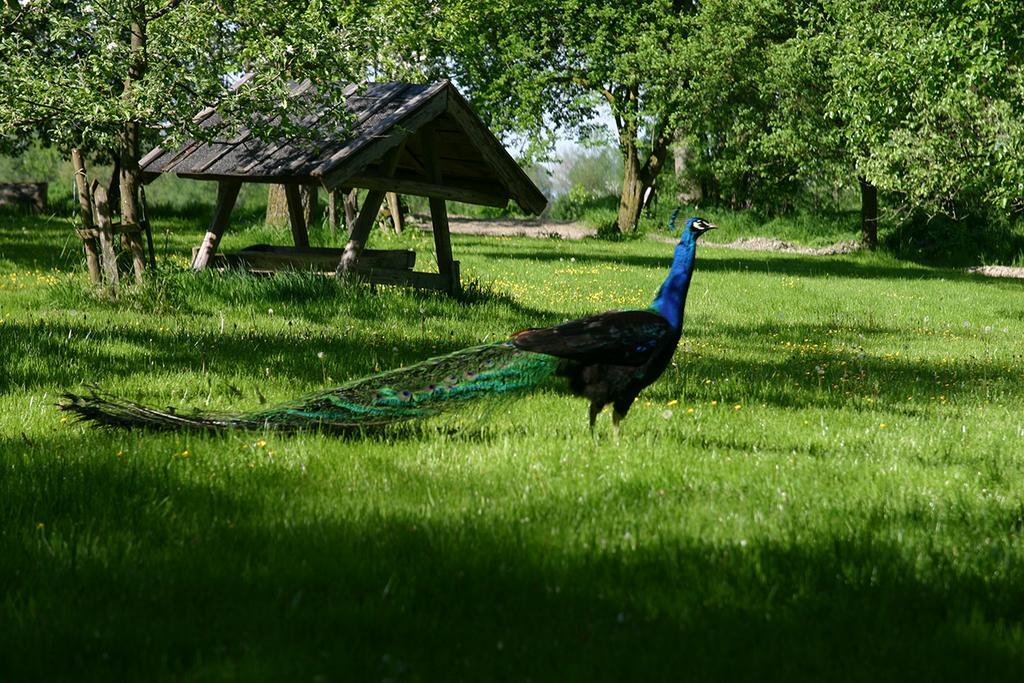 Appartementhof Stadler Pocking  Bagian luar foto